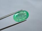 Zonder Minimumprijs - 1 pcs Groen Smaragd - 25.39 ct -, Sieraden, Tassen en Uiterlijk, Edelstenen, Nieuw