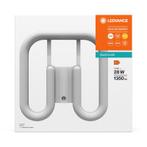 Ledvance LED GR8 13W/830 | vervangt PL-Q 28W/830/2P & CFL..., Ophalen of Verzenden, Nieuw