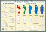 Anatomie poster voet en voetafwijkingen (Nederlands, gel..., Nieuw