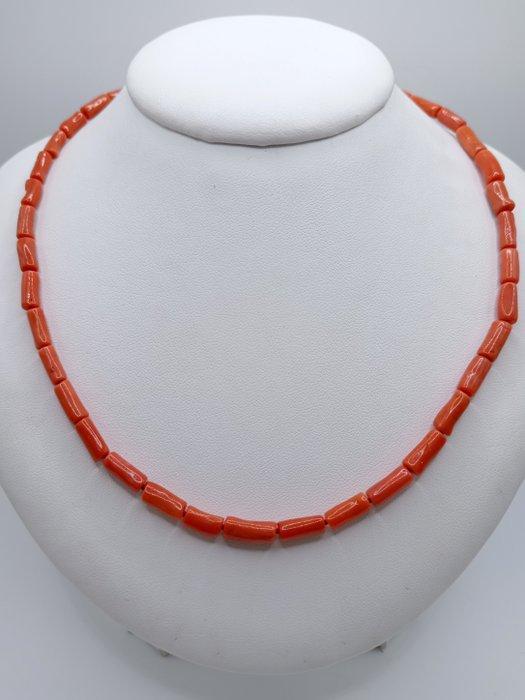 Bloedkoraal Koraal - Corallium rubrum (Zonder Minimumprijs), Verzamelen, Mineralen en Fossielen