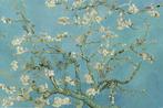 Poster Van Gogh Almond Blossom 91,5x61cm, Verzenden, Nieuw, A1 t/m A3