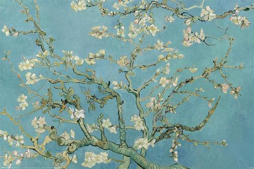 Poster Van Gogh Almond Blossom 91,5x61cm, Verzamelen, Posters, Nieuw, A1 t/m A3, Verzenden