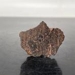 DODE KOE Mesosideriet, zeer zeldzaam om te vinden - 7.7 g