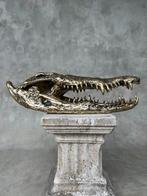 sculptuur, Large Saltwater Crocodile Skull fashioned in