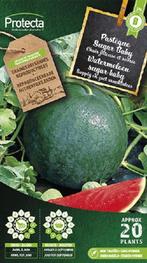 Protecta Groente zaden: Watermeloen sugar baby, Tuin en Terras, Bloembollen en Zaden, Ophalen of Verzenden