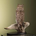 Afrikaanse Oehoe Taxidermie Opgezette Dieren By Max, Ophalen of Verzenden, Nieuw, Vogel, Opgezet dier