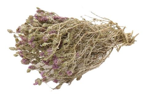 Menthe Polei in hoes bundel 70gr droogbloemen bundel, Hobby en Vrije tijd, Knutselen, Nieuw, Ophalen of Verzenden
