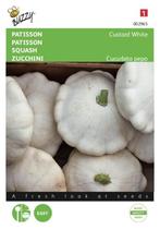 Patisson Custard White - Buzzy, Nieuw, Verzenden