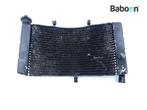 Radiateur Honda CBR 900 RR Fireblade 1996-1997 (CBR900RR, Verzenden, Gebruikt