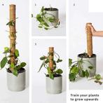 Mosstok kokosstok planten totems set 50 + 30 cm opbinden van, Ophalen of Verzenden, Nieuw