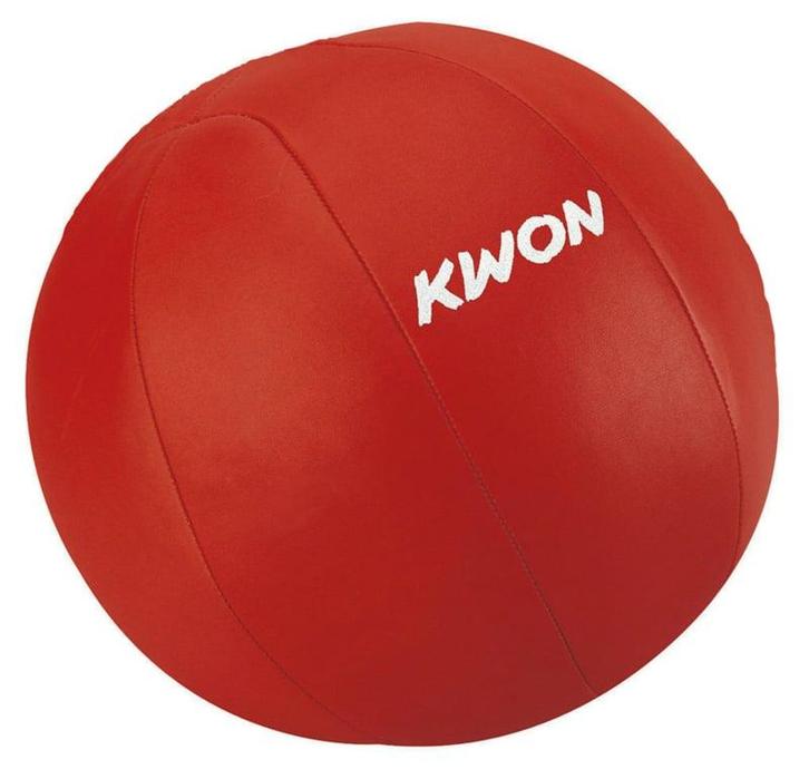 Medicine Ball 5kg leer (TRAININGSMATERIALEN), Sport en Fitness, Vechtsporten en Zelfverdediging, Nieuw, Ophalen of Verzenden