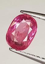 Rood Robijn - 1.00 ct - Antwerp Laboratory for Gemstone, Nieuw