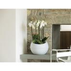 Bama Sfera Bloempot 23L 40.5x32 cm Wit (Overige), Huis en Inrichting, Verzenden, Nieuw