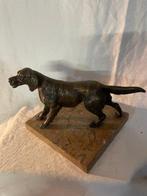 sculptuur, Cane Setter - 15 cm - Gepatineerd brons, Antiek en Kunst