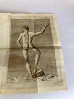 Giovan-Vincenzo Dottor Bononi - Istruzioni teorico-pratiche