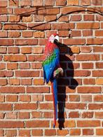 sculptuur, XL parrot wall art - 65 cm - IJzer