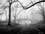 Kunstdruk Henri Silberman - Gothic Bridge, Central Park NYC, Huis en Inrichting, Verzenden, Nieuw