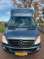 Prachtige Mercedes paardenwagen, opbouw 2017!, Dieren en Toebehoren, Ophalen, Zo goed als nieuw, Polyester, 2-paards trailer