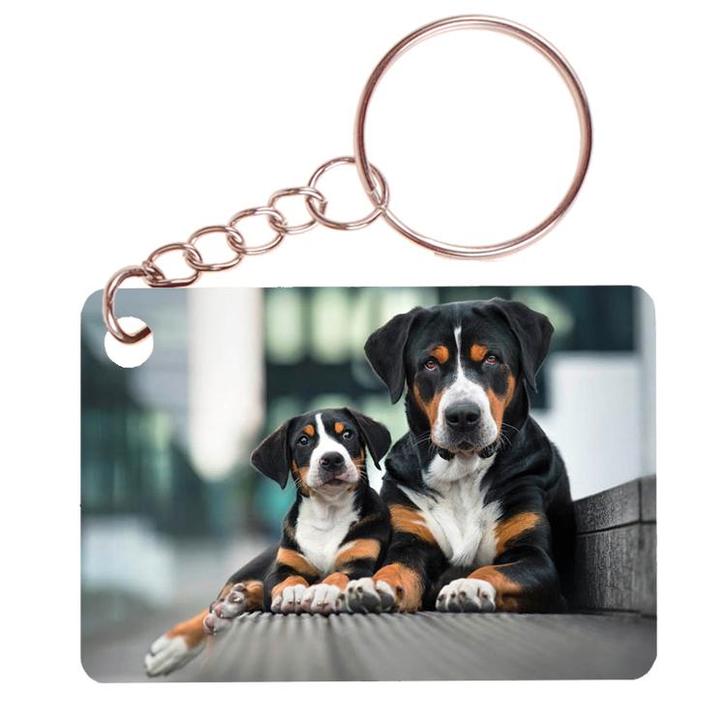 Sleutelhanger 6x4cm - Grote Zwitserse Sennenhond met Pup Lig, Verzamelen, Sleutelhangers, Nieuw, Ophalen of Verzenden