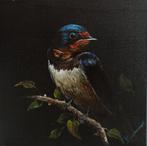 Tomasz Bednarski (1965) - Portrait of a swallow, Antiek en Kunst