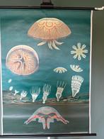 Kwal - Jung Koch Quentell, kwal 1965 - Schoolkaart - Linnen, Antiek en Kunst