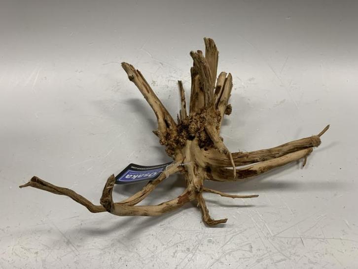 Driftwood Selected DW20 - 15x44x28cm (Small drift wood), Dieren en Toebehoren, Vissen | Aquaria en Toebehoren, Plant(en), Steen of Hout