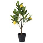Kunstplant Citroenboom | Decoris | 60 cm (In pot, Ø 24 cm), Huis en Inrichting, Verzenden, Nieuw