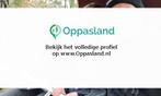Jasper zoekt een oppas in Berkel en Rodenrijs voor 1 kind...