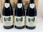 2019 Labruyere-Prieur: Santenay Grand Clos Rousseau,, Verzamelen, Wijnen, Nieuw