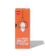 HEMA Led kaars glass frost E14 2.5W 250lm, Verzenden, Nieuw