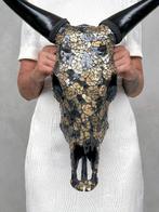 Geen minimumprijs - Adembenemende koeienschedel met