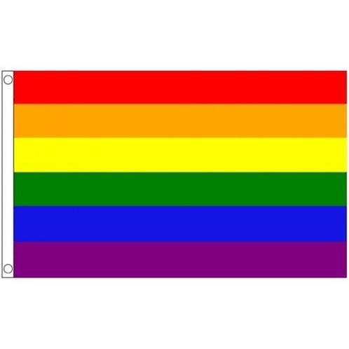 Vlag met regenboog print 60 x 90 cm - Vlaggen, Hobby en Vrije tijd, Feestartikelen, Ophalen of Verzenden