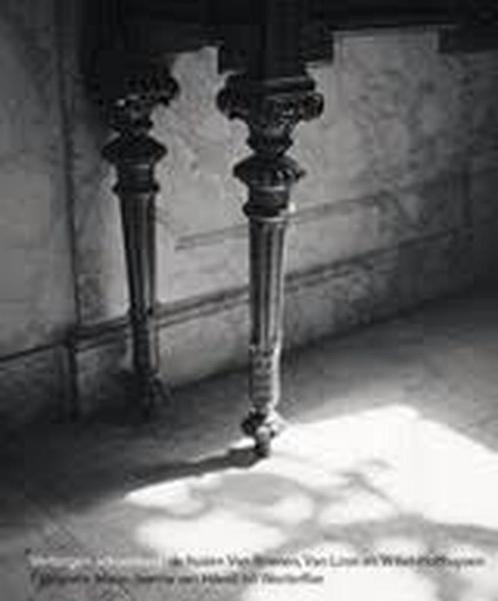 Verborgen schoonheid 9789078381730 Ileen Montijn, Boeken, Kunst en Cultuur | Fotografie en Design, Zo goed als nieuw, Verzenden