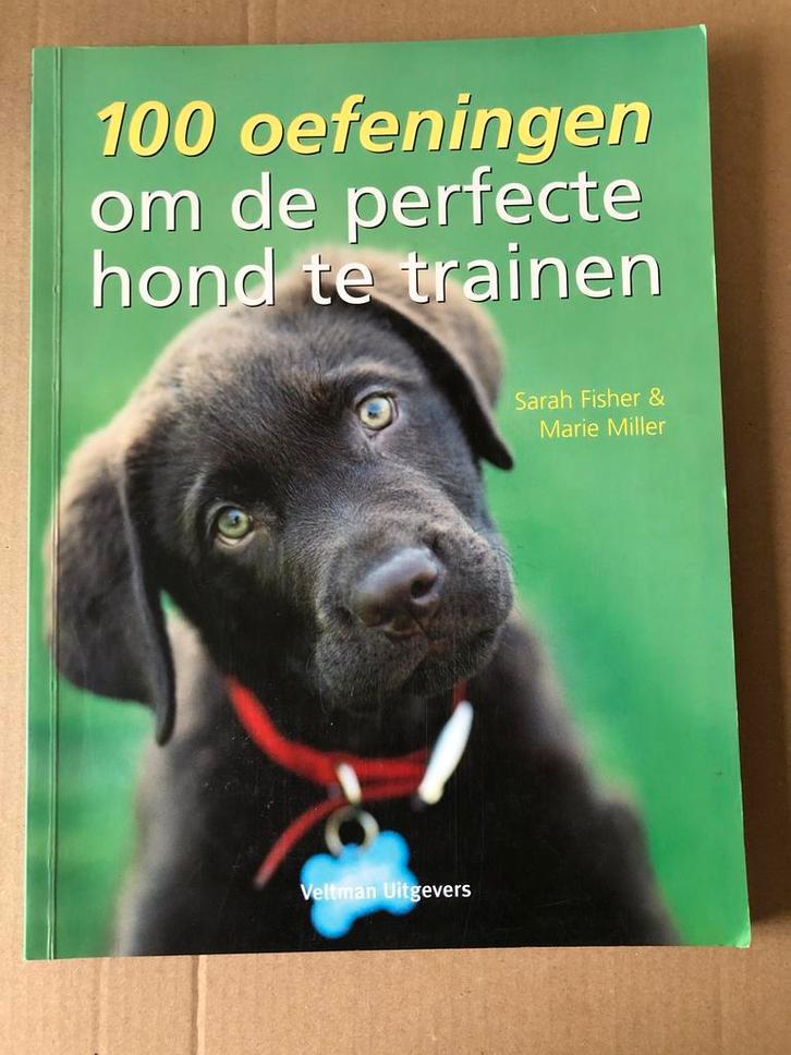 100 Oefeningen voor een blije hond o.a. Tellington TTouch, Boeken, Dieren en Huisdieren, Zo goed als nieuw, Honden, Ophalen of Verzenden