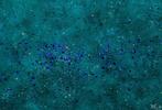 Parfen.D XL - NO RESERVE Blue Starlight