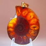 Verguld - Hanger - Ammoniet fossiel.