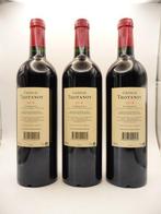 2018 Chateau Trotanoy - Pomerol Pomerol - 3 Flessen (0.75, Nieuw