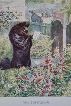 Beatrix Potter - The story of Miss Mopet + The tale of the
