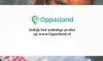 Ik ben Priscilla, 17 jaar oud en ik zoek oppaswerk in Ams...