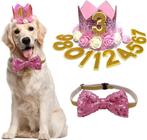Honden verjaardagset 2-delig Its my Birthday roze of blauw, Verzenden, Nieuw
