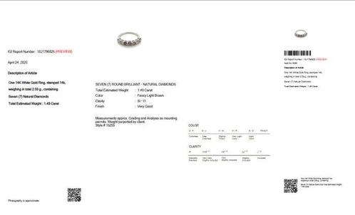 Zonder Minimumprijs - Ring - 14 karaat Witgoud - 1.49ct. tw., Sieraden, Tassen en Uiterlijk, Ringen