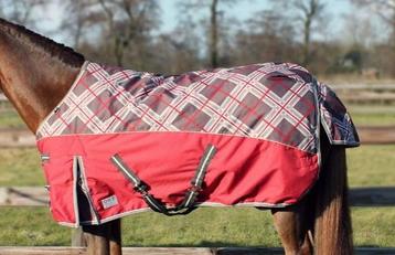 Permanent wanhoop Uitputting ≥ Qhp winterdeken waterdicht 300 gram mt 125/175 (D pony) — Paarden en  Pony's | Dekens en Dekjes — Marktplaats