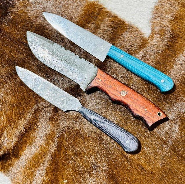 Keukenmes - Keukenmessenset (0181) - Exotisch houten handvat, Antiek en Kunst, Antiek | Keukenbenodigdheden