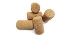 Geperste kurk - 13 x 14 / 19 mm - 50 stuks, Ophalen of Verzenden, Nieuw
