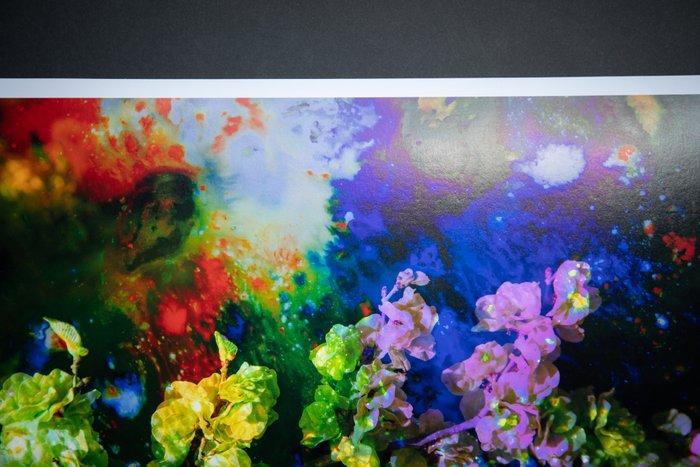 Viet Ha Tran - Flowers of the night, Antiek en Kunst, Kunst | Designobjecten