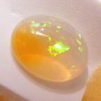 Opaal - 8.44 ct - Instituto Gemólogico Español (IGE), Sieraden, Tassen en Uiterlijk, Edelstenen, Nieuw