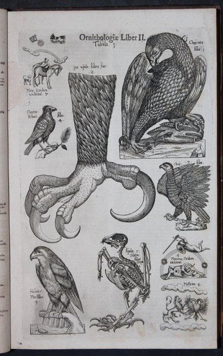 U. Aldrovandi - Ornithologiae. Hoc est, de avibus historiae, Antiek en Kunst, Antiek | Boeken en Bijbels