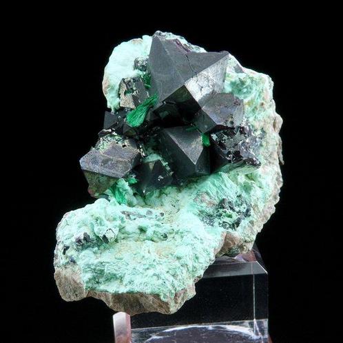 Kuperiet (doorzichtig rood) met Malachiet en Chrysocolla, Verzamelen, Mineralen en Fossielen