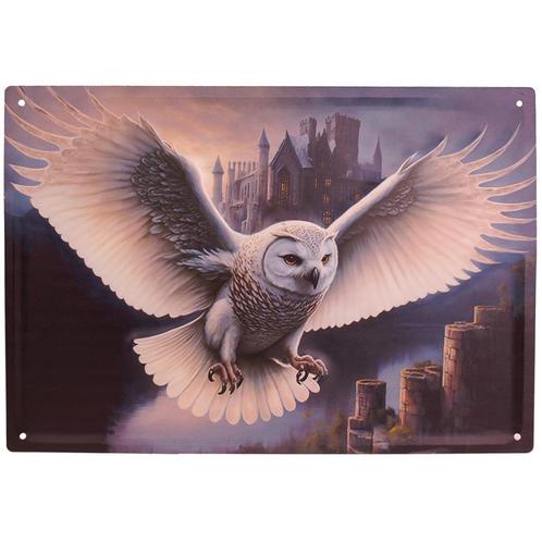 Metalen Bord reliëf - Sneeuw Uil met Kasteel - 40,5x28cm NIE, Huis en Inrichting, Woonaccessoires | Tekstborden en Spreuken, Nieuw