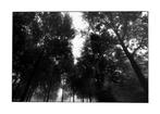 Rouzbeh Tahmassian - In darkness - XL